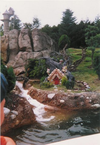 Photograph